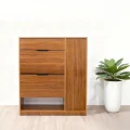 Tủ giày dép TGD30 1