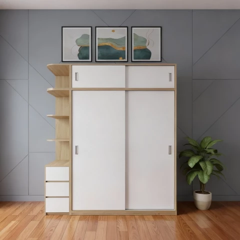 Tủ gỗ 2 cánh lùa tg245