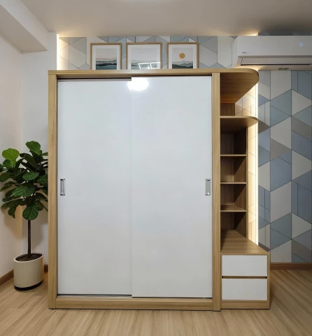 Tủ gỗ 2 cánh lùa tg221