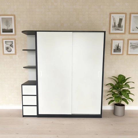 Tủ gỗ 2 cánh lùa tg232