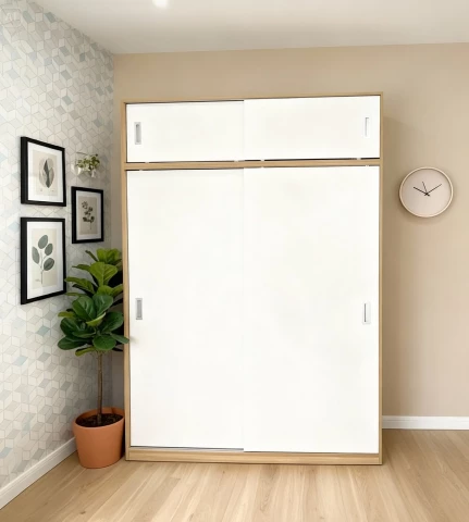 Tủ gỗ 2 cánh lùa tg233